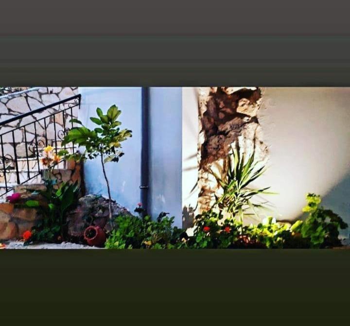 Bed and Breakfast On The Rocks Qeparo Exterior foto